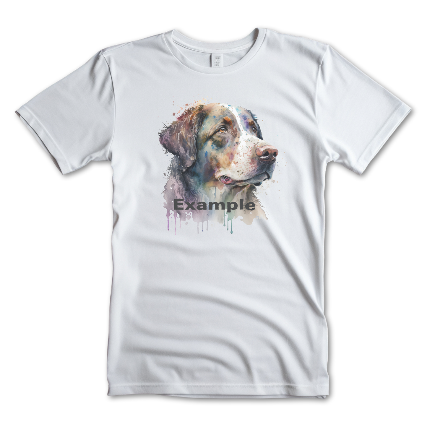 Men's Custom T-Shirt